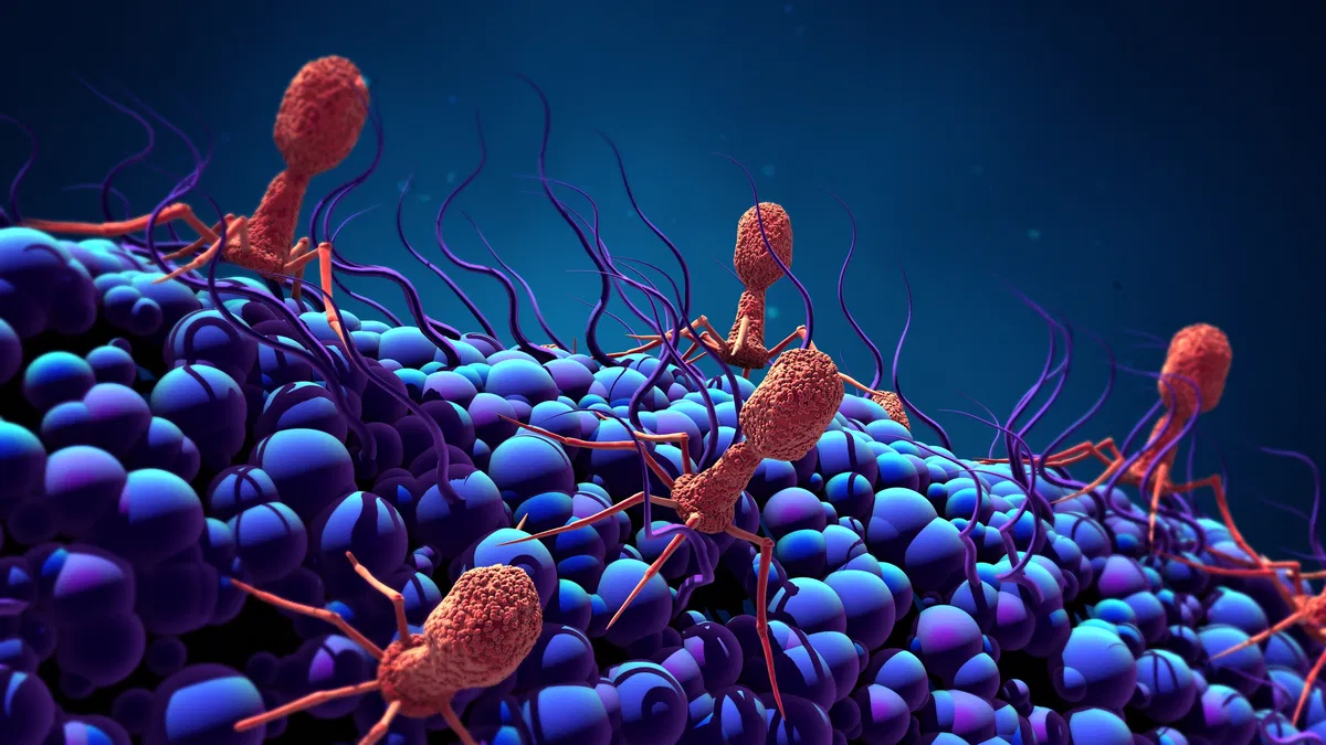 virus IA