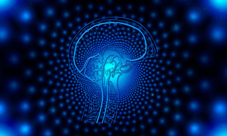 1-ingenieria-neuromorfica-princ